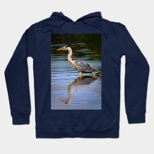 Grey Heron reflection Hoodie